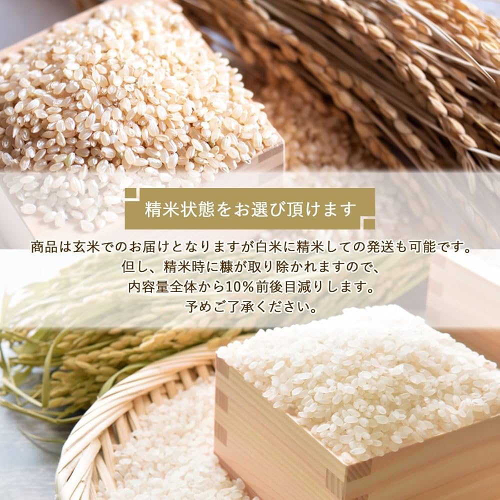 Amazon.co.jp: 土佐の旨味市場 【令和7年産新米予約】四万十町